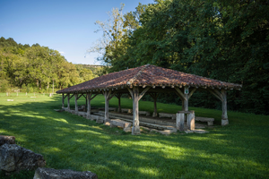 Déménageur Bourg-en-Bresse